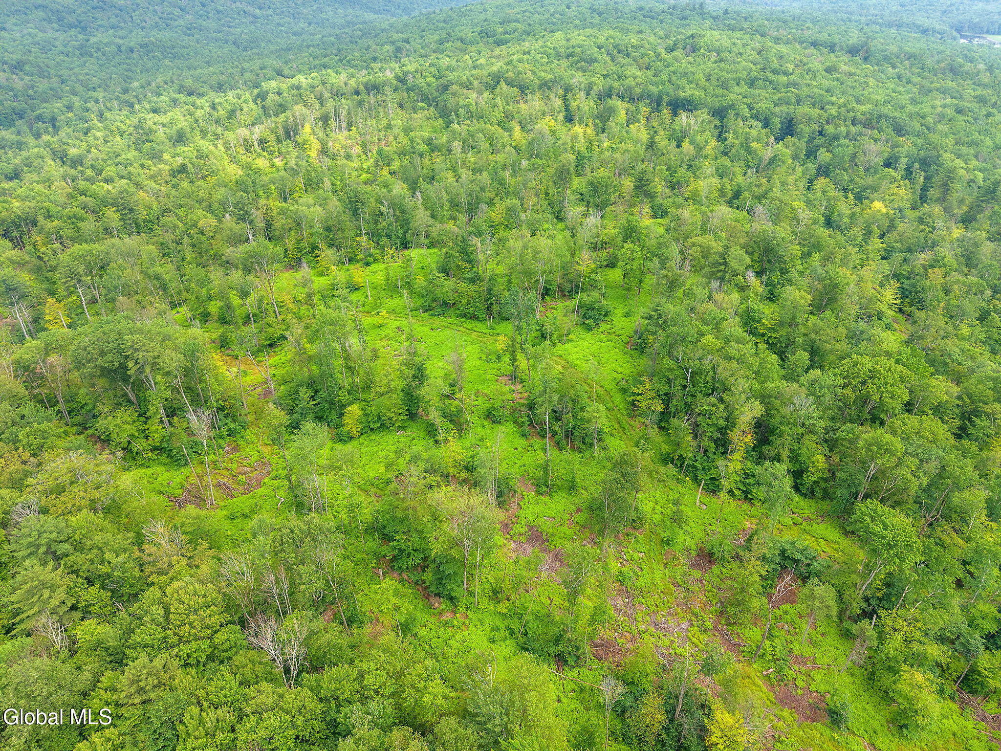 577 Black River Road Stephentown, NY 12169 - Photo 20 of 38 20-577BlackRiverRd_20