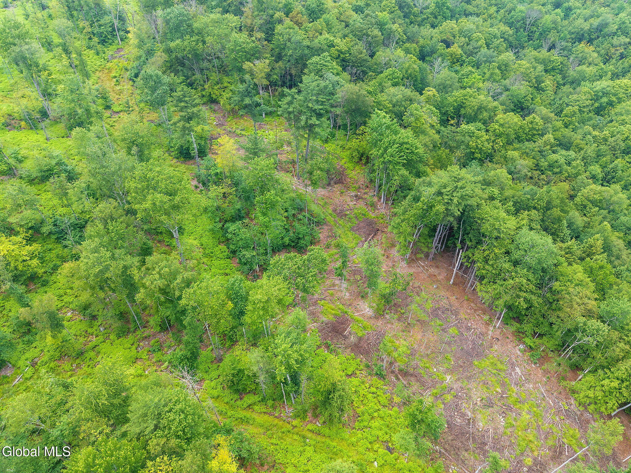 577 Black River Road Stephentown, NY 12169 - Photo 25 of 38 25-577BlackRiverRd_25