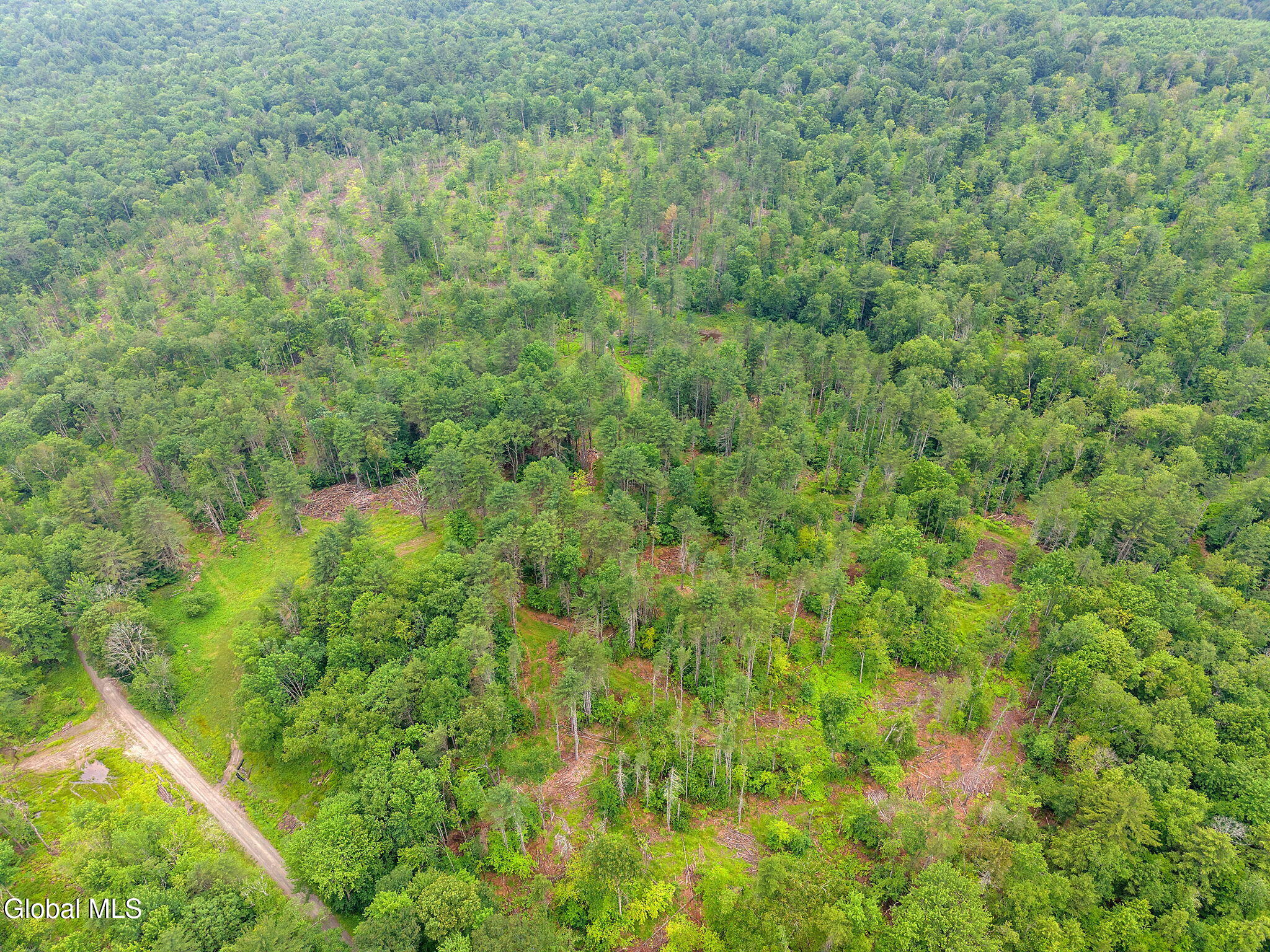 577 Black River Road Stephentown, NY 12169 - Photo 27 of 38 27-577BlackRiverRd_27