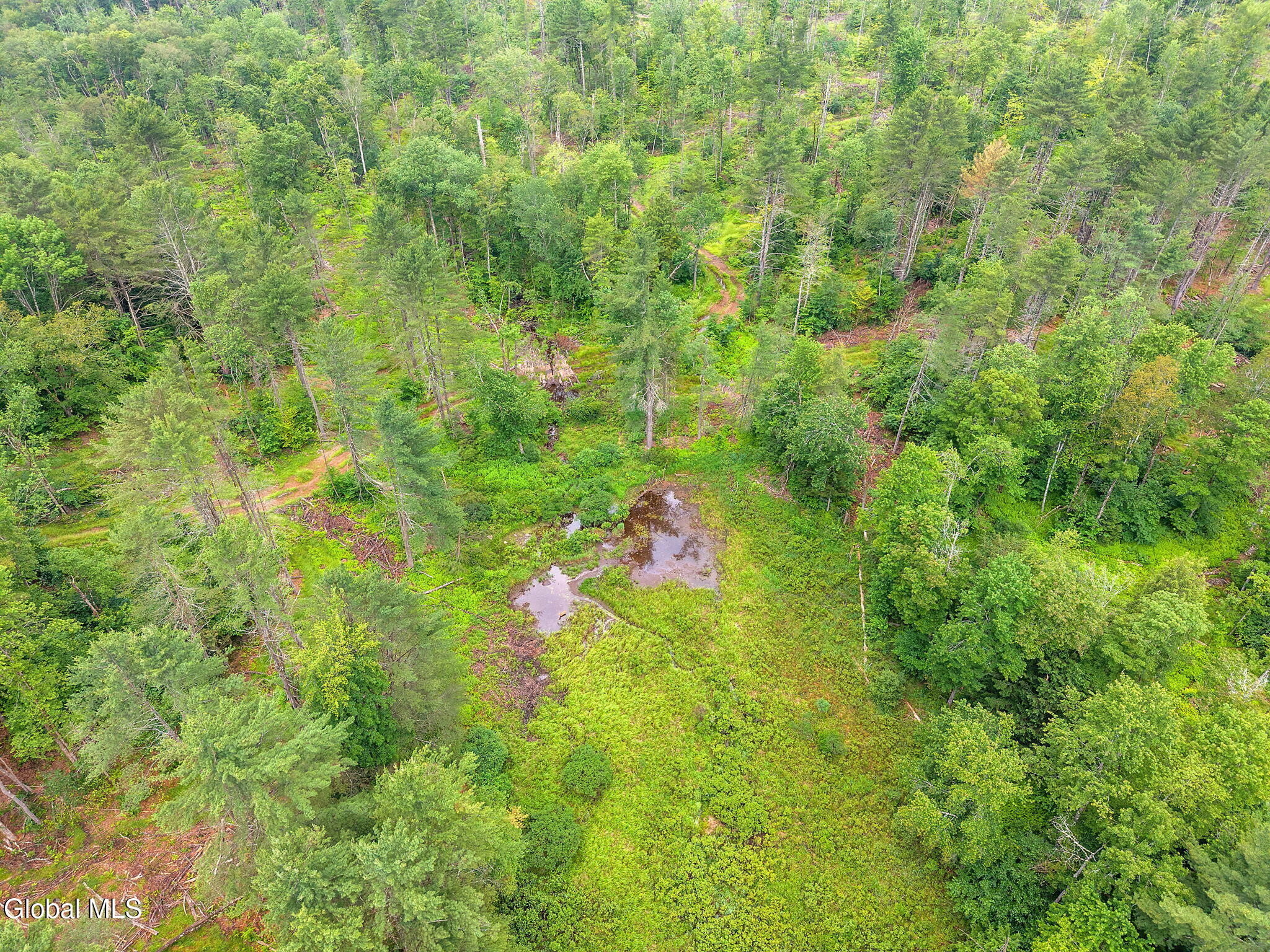 577 Black River Road Stephentown, NY 12169 - Photo 28 of 38 28-577BlackRiverRd_28