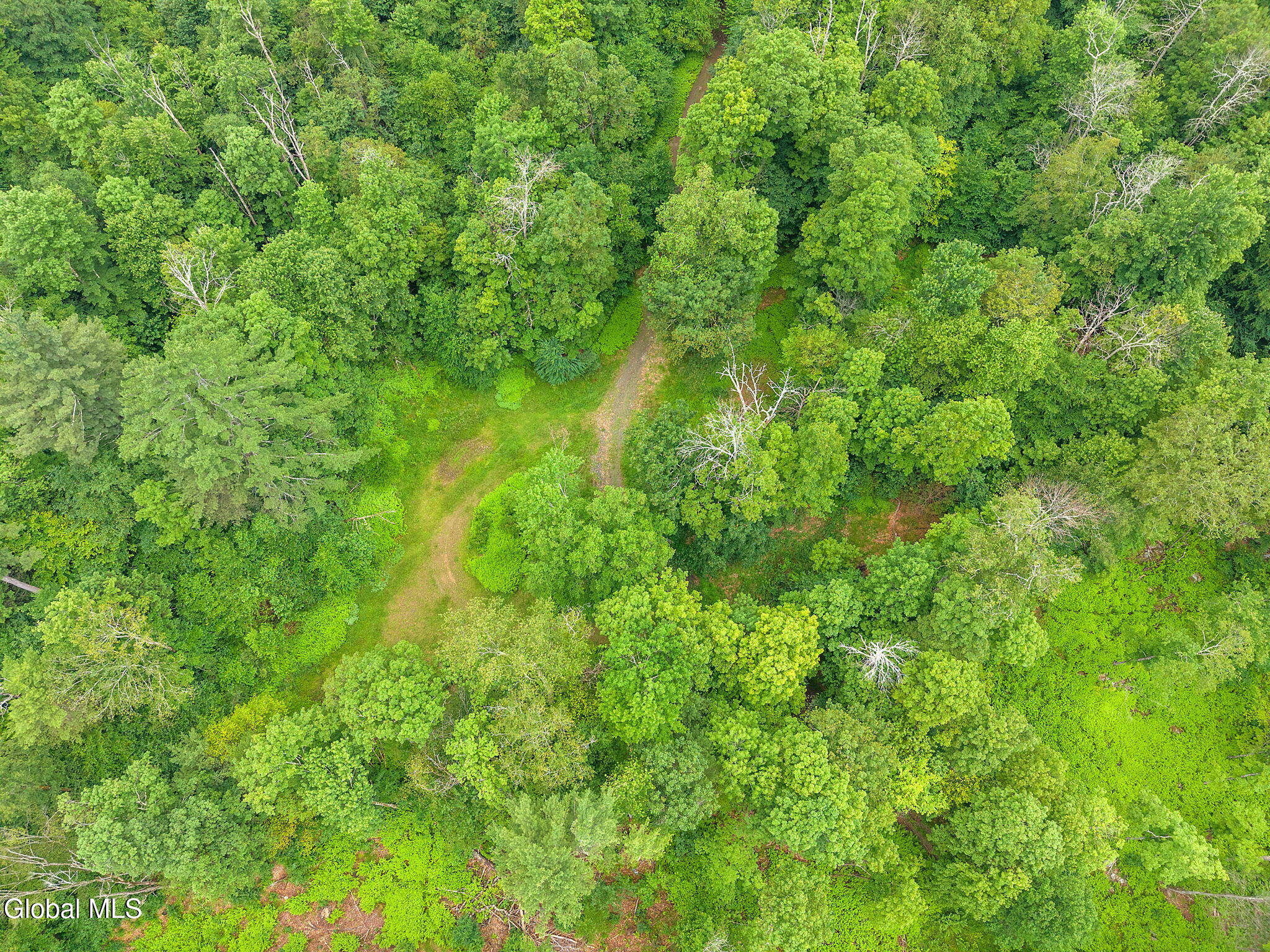 577 Black River Road Stephentown, NY 12169 - Photo 29 of 38 29-577BlackRiverRd_29