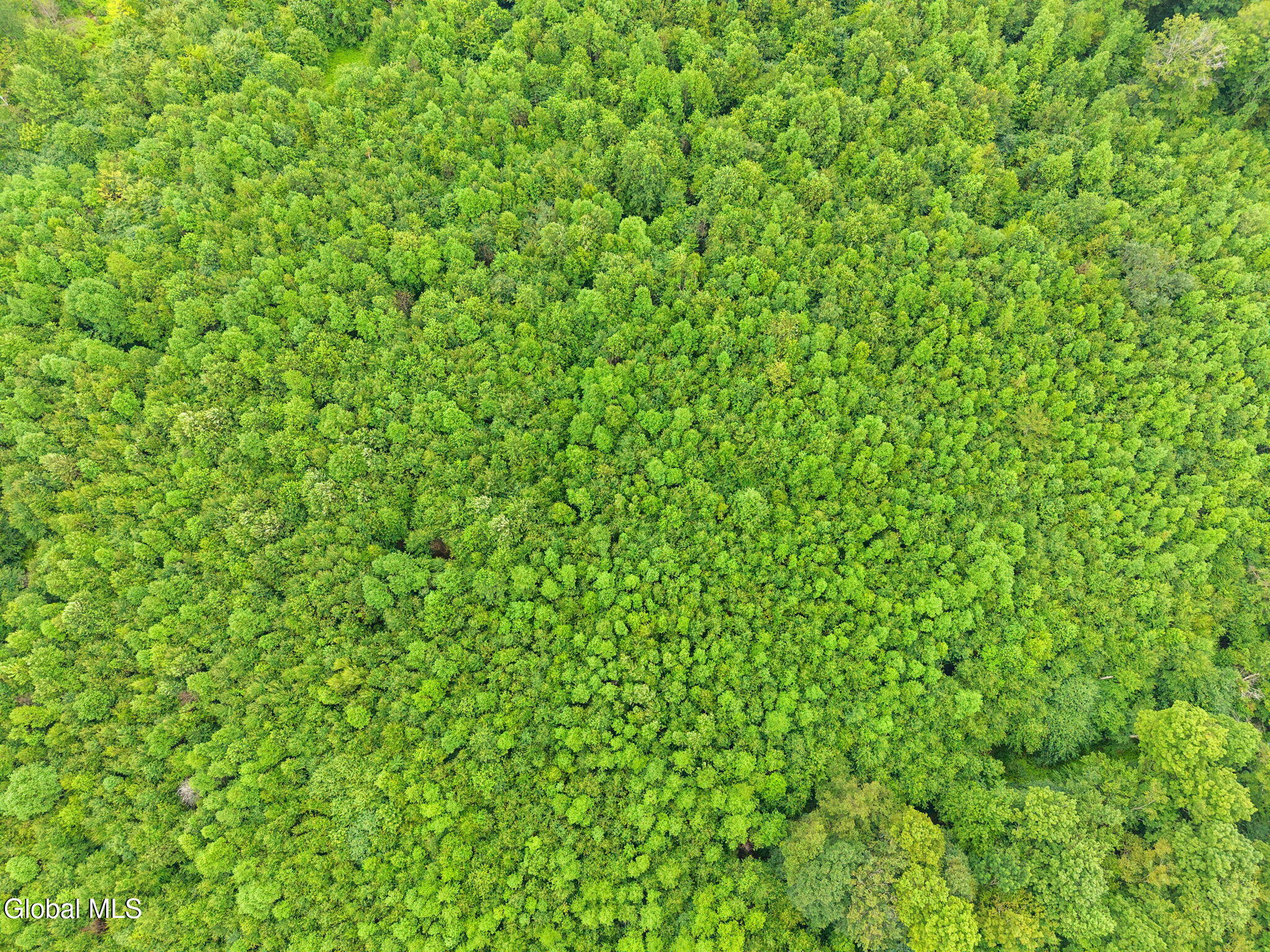 577 Black River Road Stephentown, NY 12169 - Photo 34 of 38 34-577BlackRiverRd_34