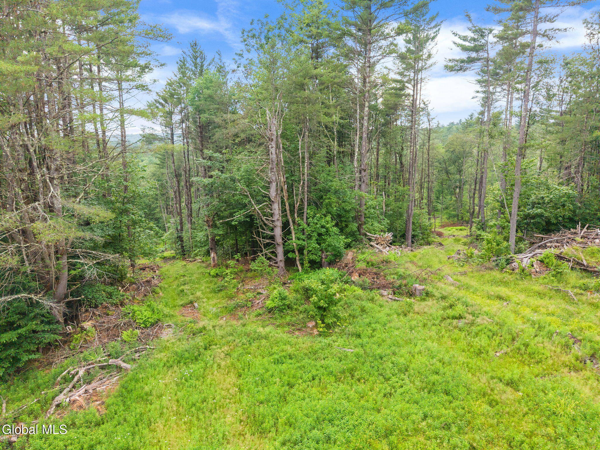 6-577BlackRiverRd_06