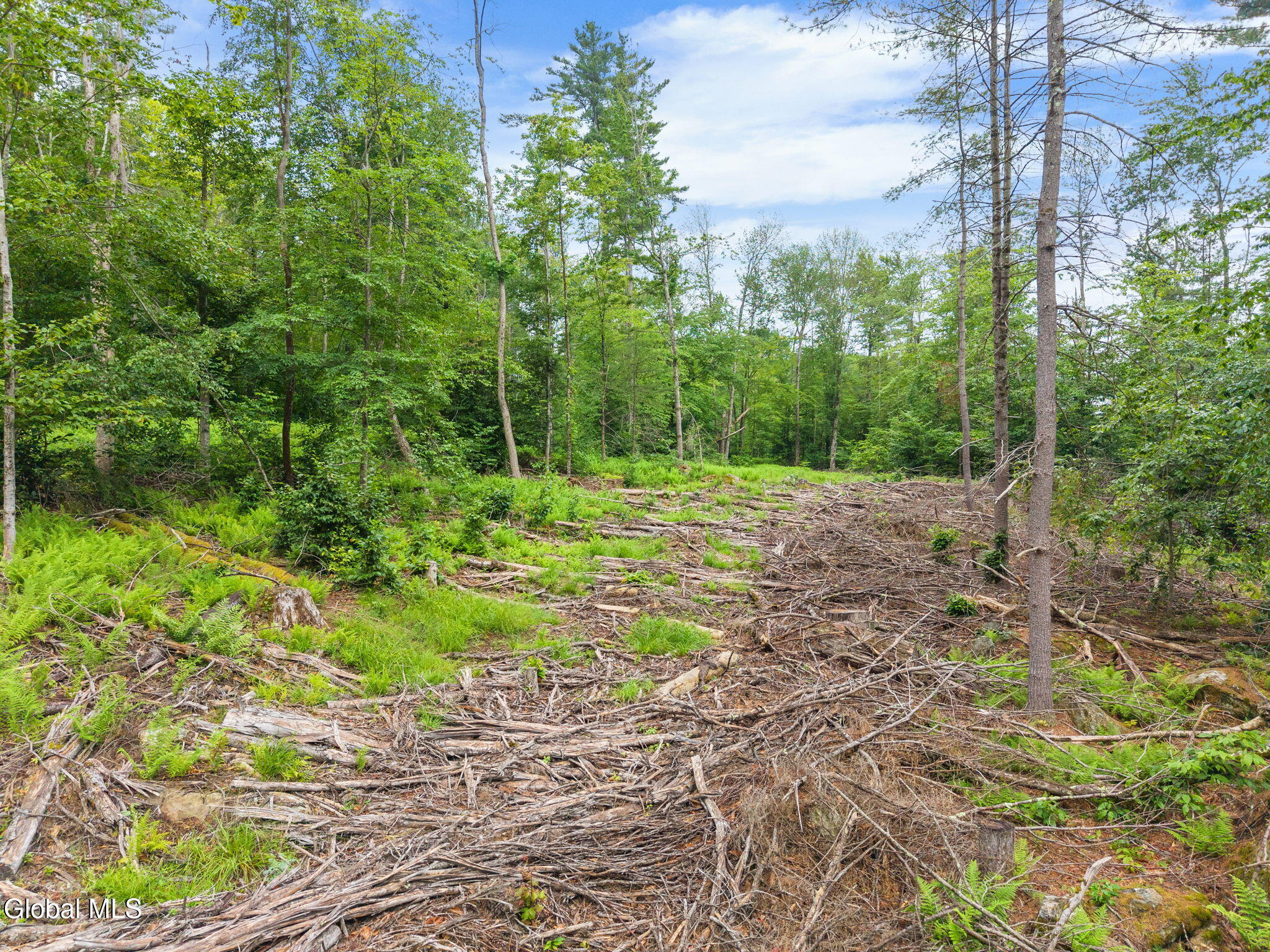 577 Black River Road Stephentown, NY 12169 - Photo 10 of 38 10-577BlackRiverRd_10