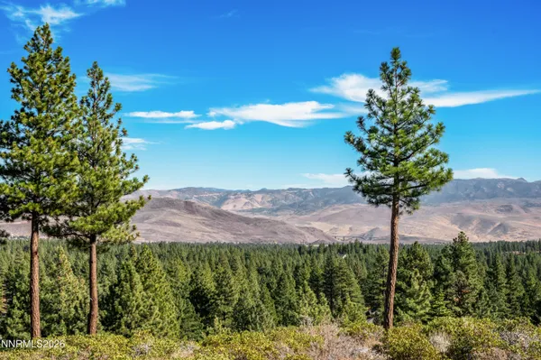 a view of a lush green hillside and a mountain