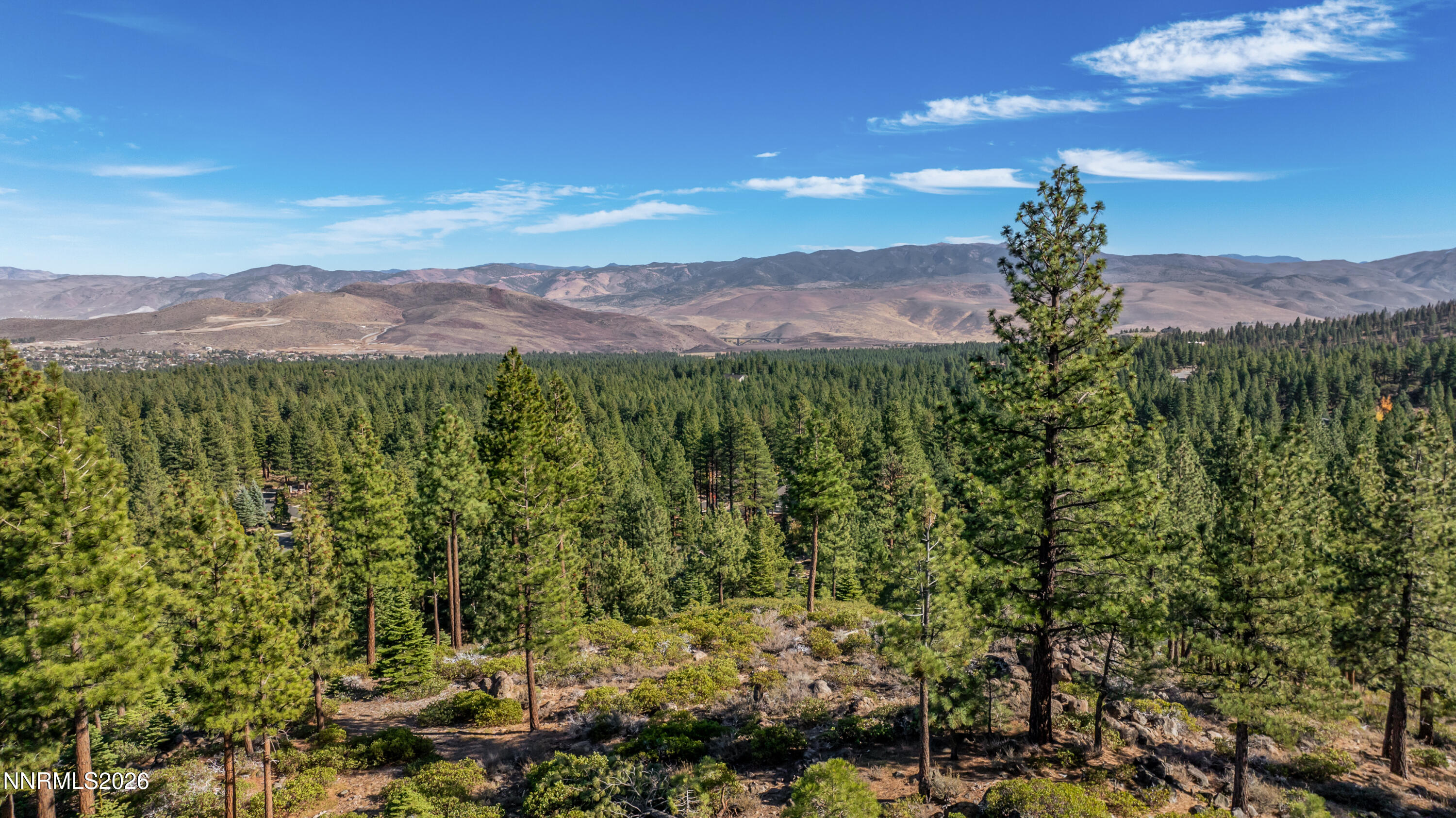 145 West Jeffrey Pine Road Reno, NV 89511 - Photo 12 of 16 a view of a lush green hillside and a mountain