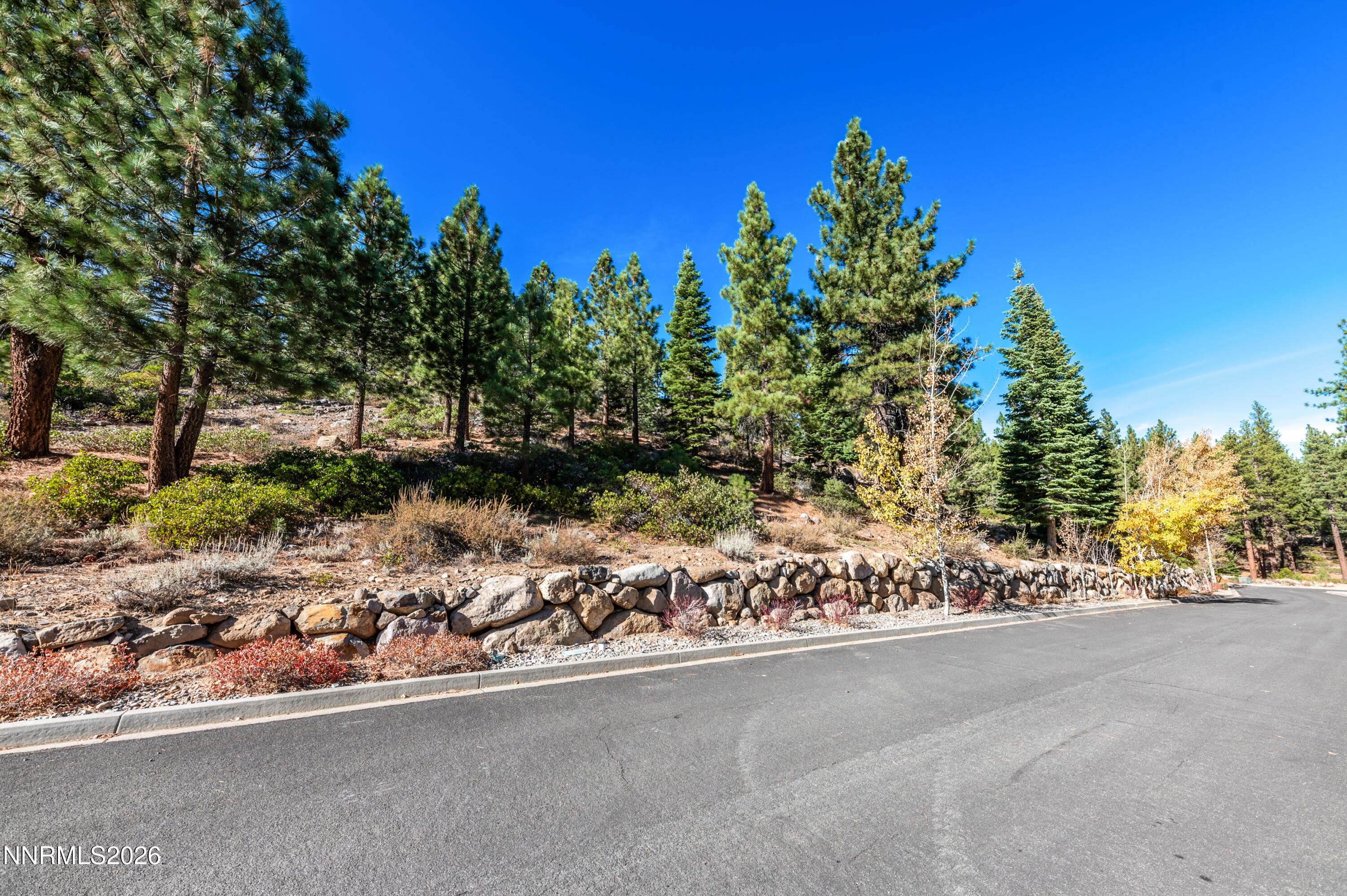 145 West Jeffrey Pine Road Reno, NV 89511 - Photo 7 of 16 a view of a street with a tree in the background