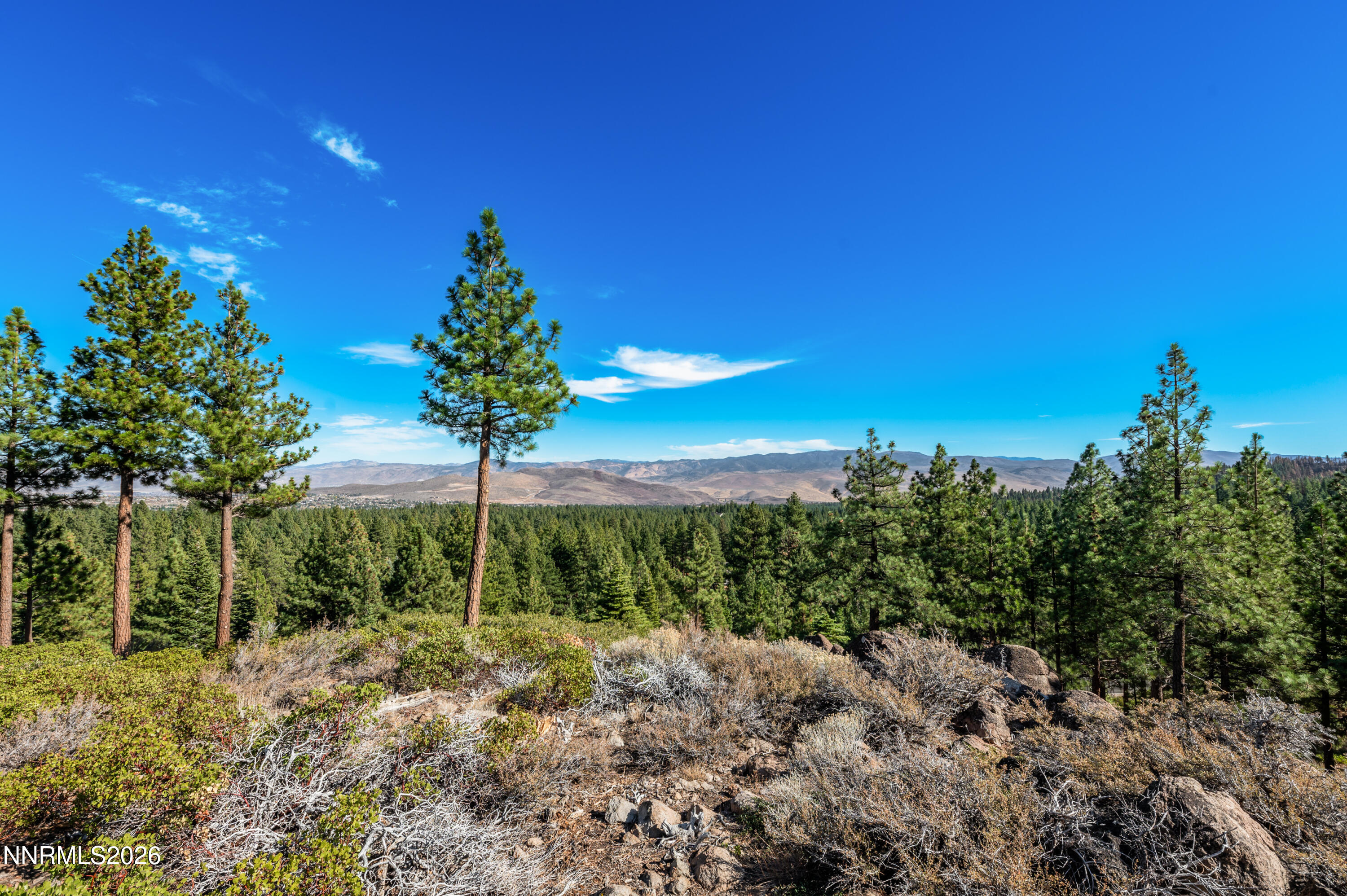 145 West Jeffrey Pine Road Reno, NV 89511 - Photo 9 of 16 a view of a garden