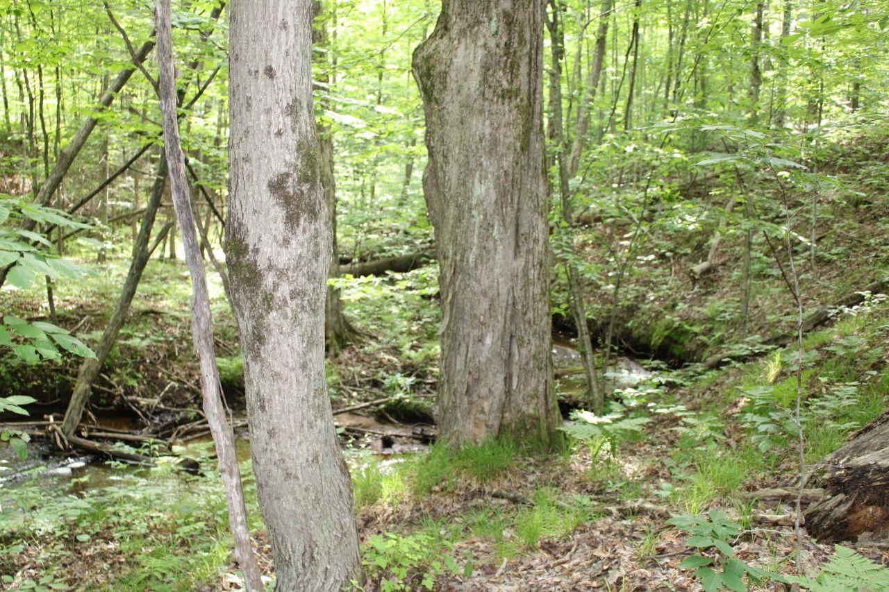 2750 Apple Creek Road Kalkaska, MI 49646 - Photo 11 of 24
