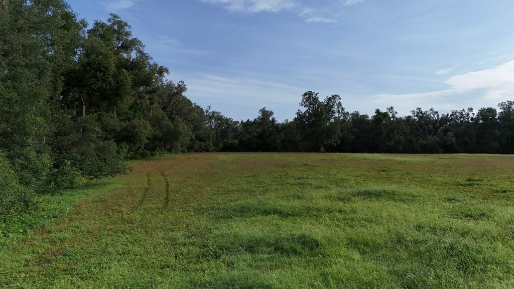 Vacant 145th Road Live Oak, FL 32060 - Photo 33 of 42