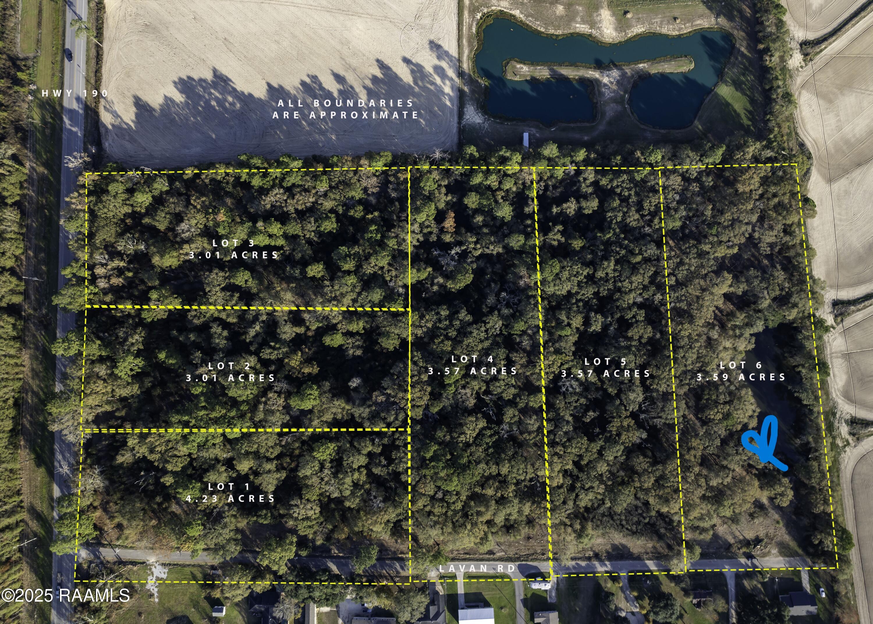 301 Lavan Elton, LA 70532 - Photo 4 of 11 Lot picture