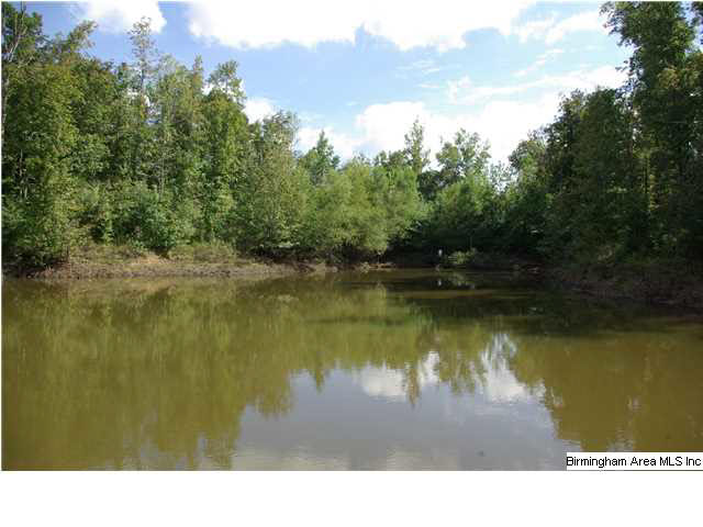 Turkey Ridge, Unit 11 Ragland, AL 35131 - Photo 26 of 31
