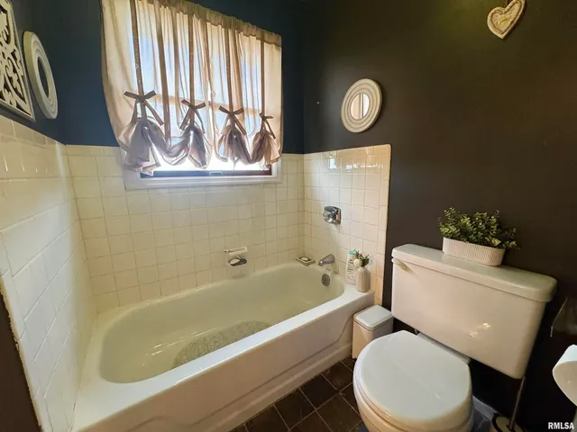 a bathroom with a toilet and a bathtub