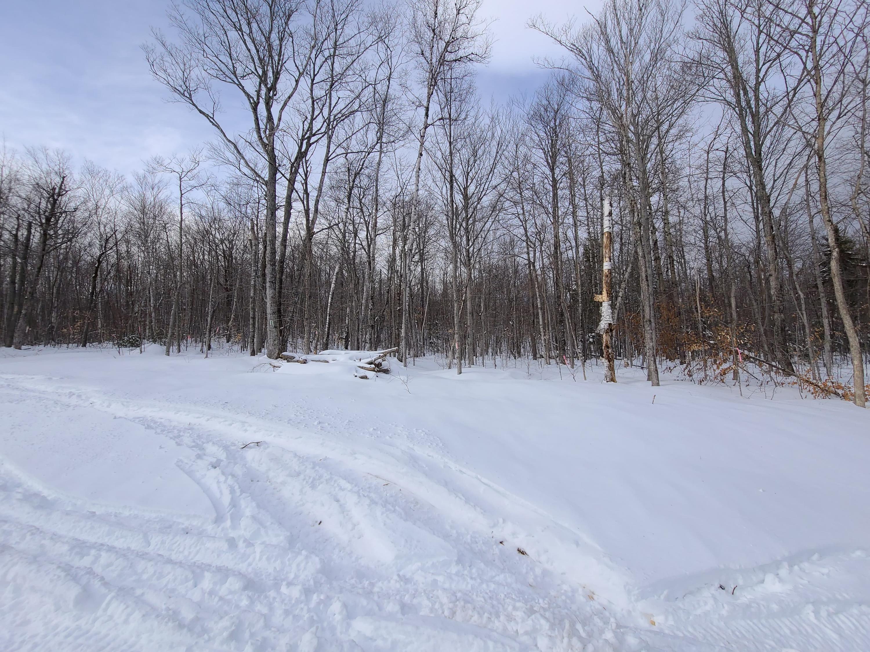 4002 White Road Kingfield, ME 04947 - Photo 6 of 10 6