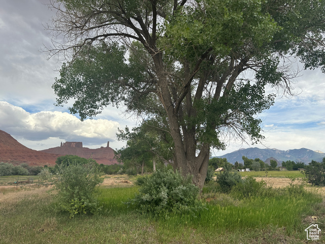9 Chamisa Lane Moab, UT 84532 - Photo 40 of 75