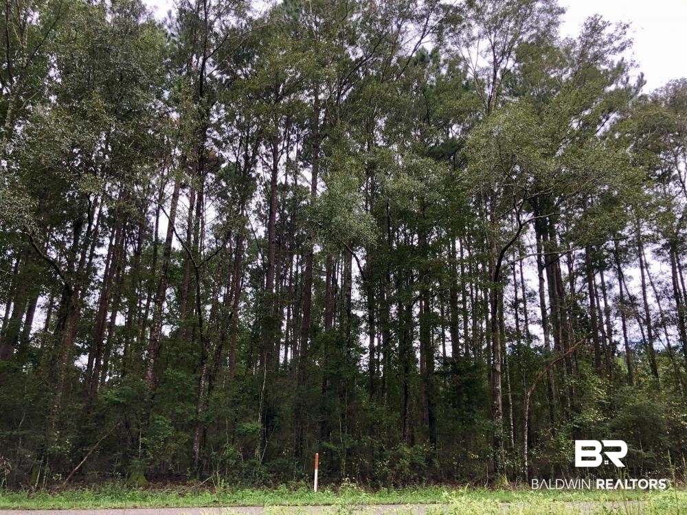 0 Nathan Jordan Road Chatom, AL 36518 - Photo 9 of 12
