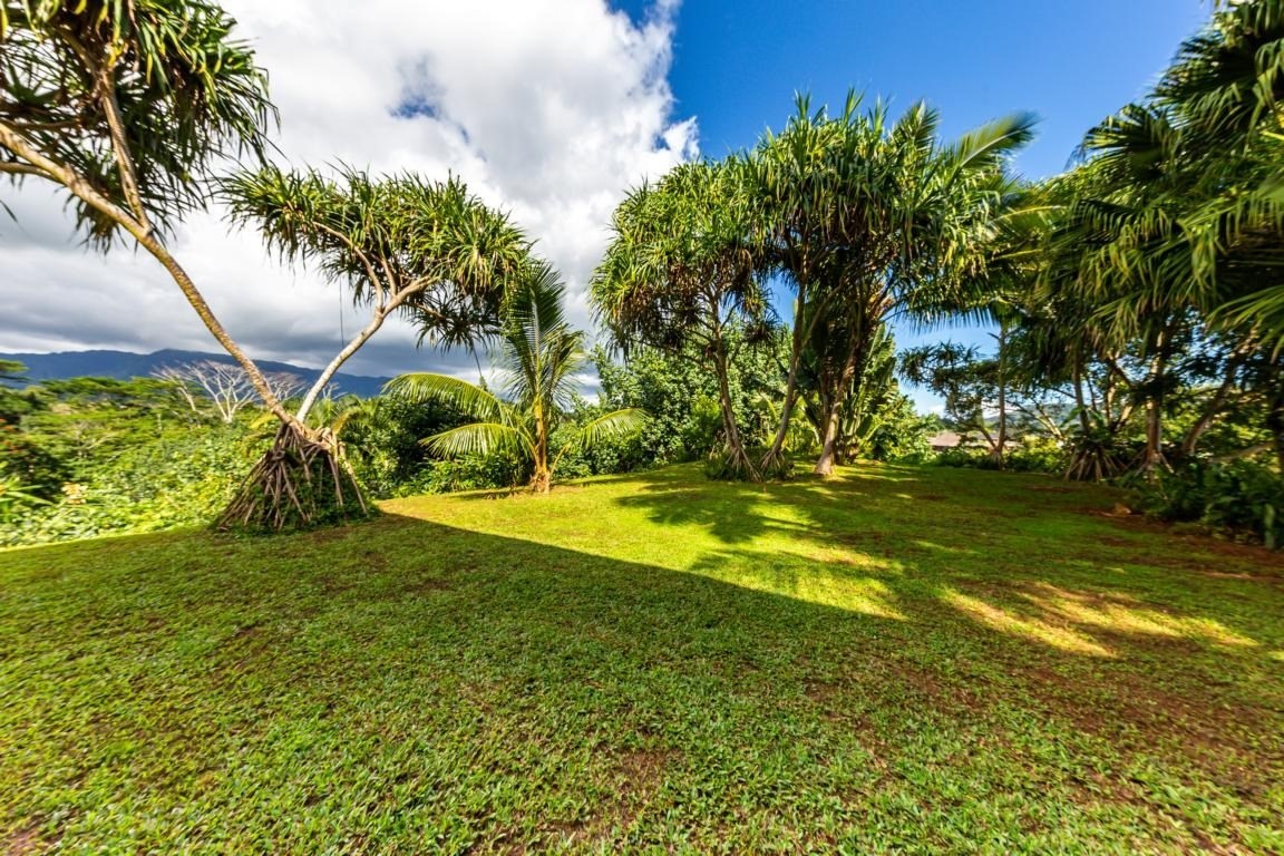 6746C Kuamoo Road, Unit A Kapaa, HI 96746 - Photo 8 of 30 Gallery Image 8