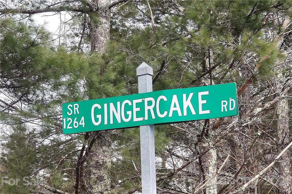 6275 Gingercake Road Newland, NC 28657 - Photo 1 of 4 Gallery Image 1