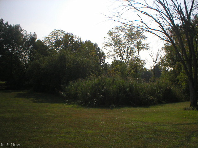 4034 Fenn Road Medina, OH 44256 - Photo 20 of 22