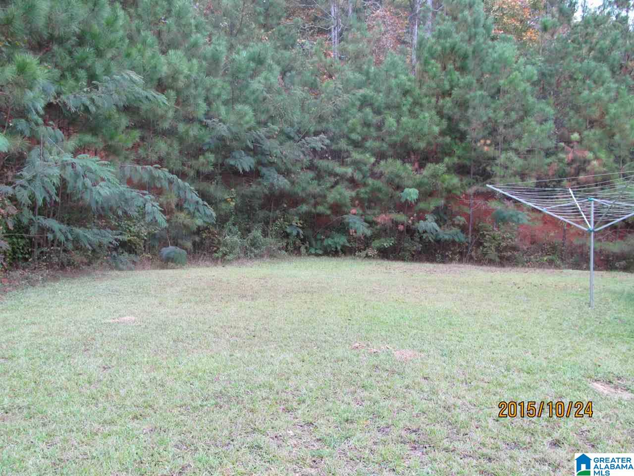 815 Mocking Bird Drive Ragland, AL 35131 - Photo 3 of 21