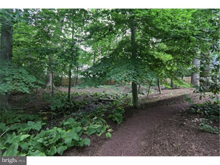 156 Laurel Road Princeton, NJ 08540 - Photo 24 of 25