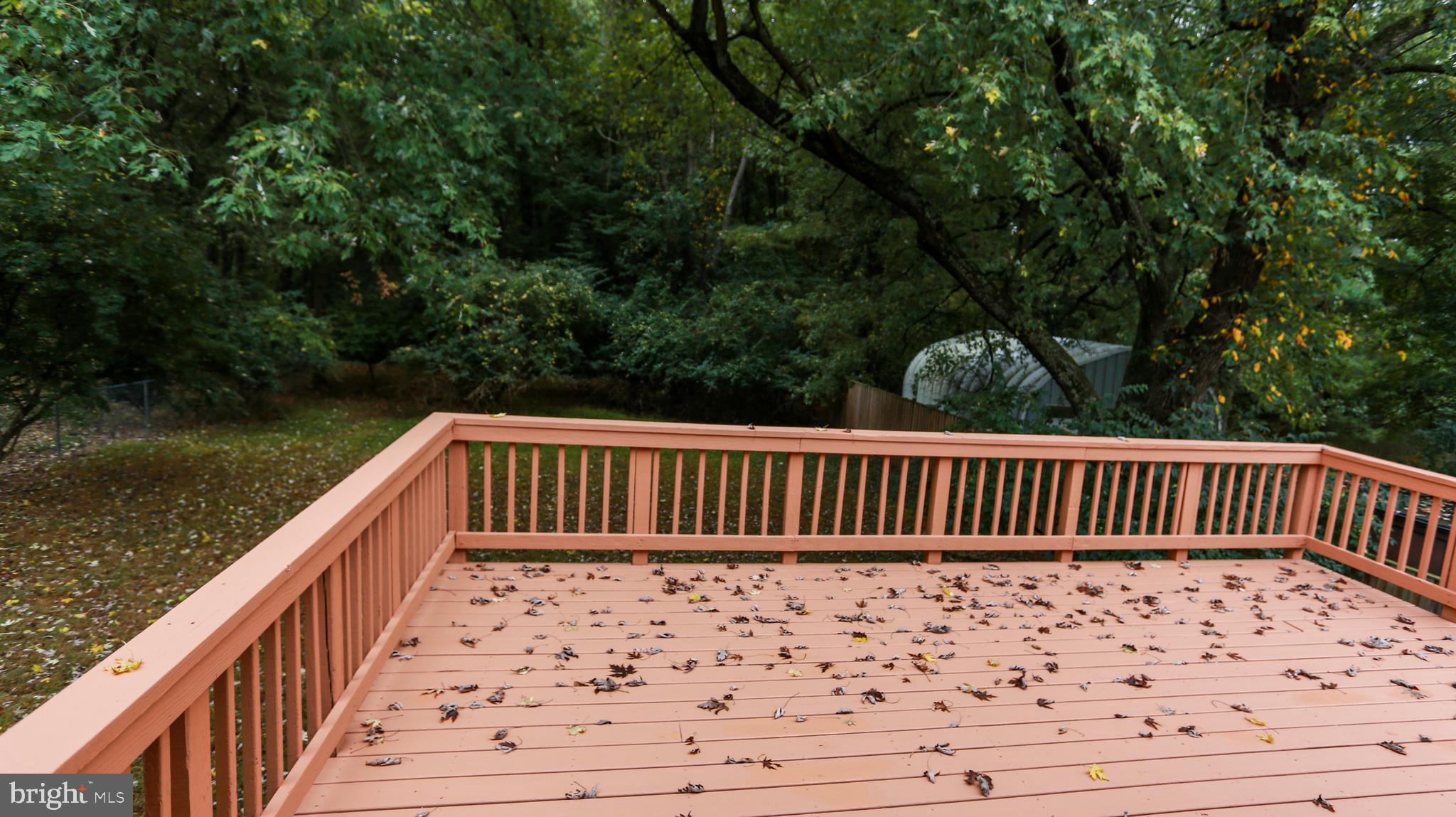 110 Hannes Street Silver Spring, MD 20901 - Photo 2 of 19