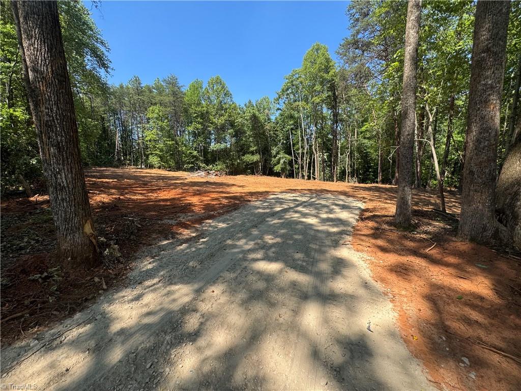 0 Brims Grove Road Pinnacle, NC 27043 - Photo 2 of 10