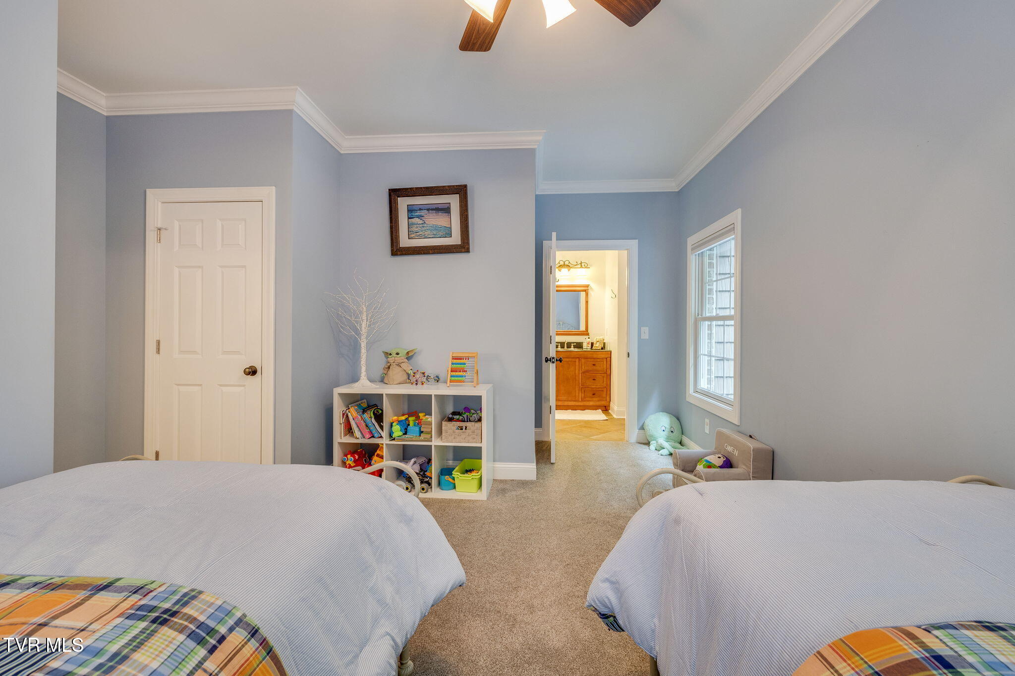 487 Barr Road Blountville, TN 37617 - Photo 55 of 88 045