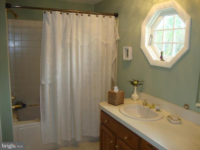322 Felton Road Lutherville-Timonium, MD 21093 - Photo 17 of 30 whirlpool tub