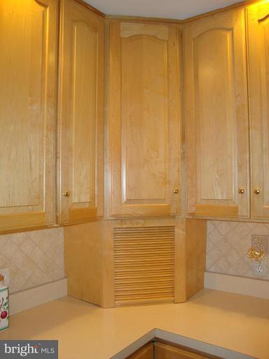322 Felton Road Lutherville-Timonium, MD 21093 - Photo 23 of 30 ample cabinets