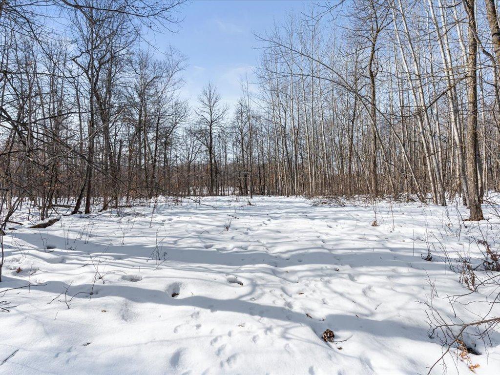 11939 County Road 118 Merrifield, MN 56465 - Photo 50 of 57