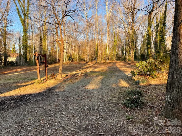 a view of a yard with large trees