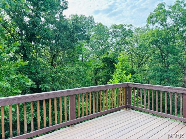 216 West Hickory Ridge Road Steelville, MO 65565 - Photo 35 of 72