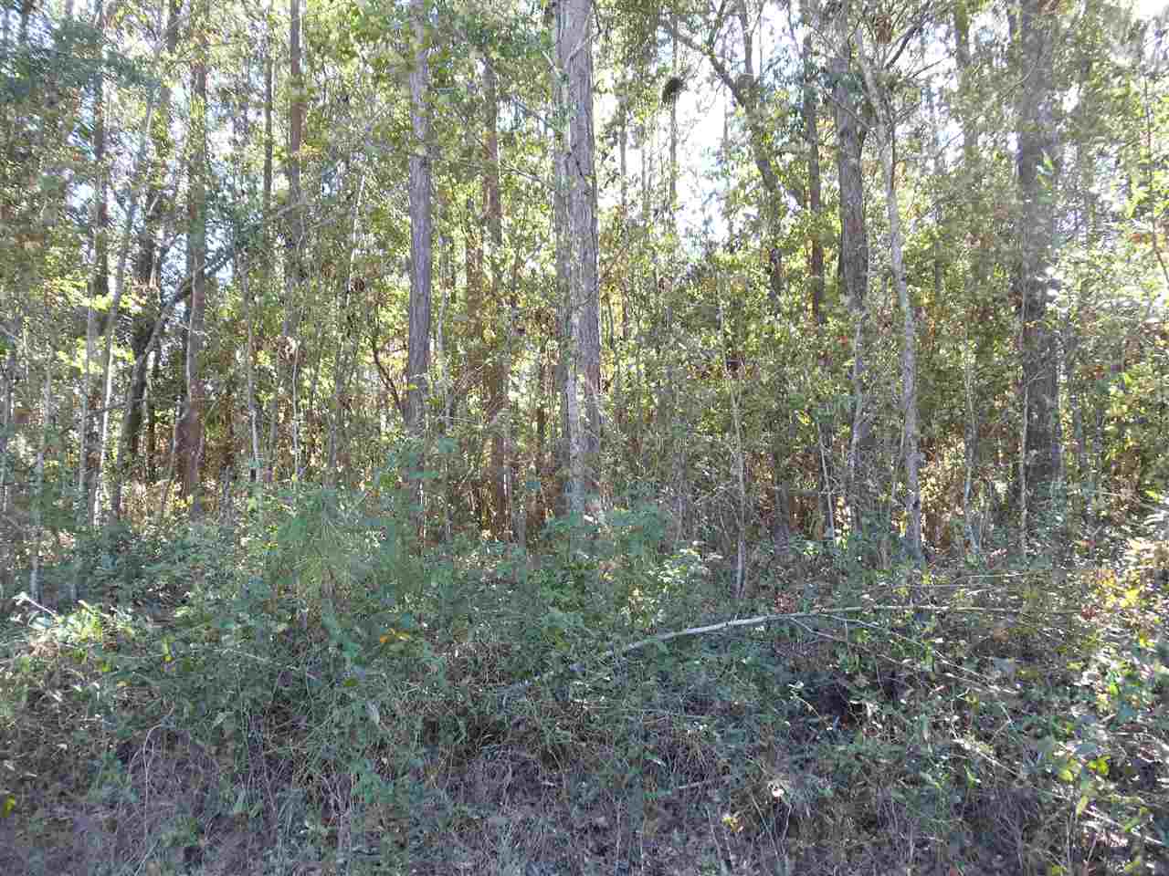 0 Collins Landing Road, Unit 2 Tallahassee, FL 32310 - Photo 3 of 11 Gallery Image 3