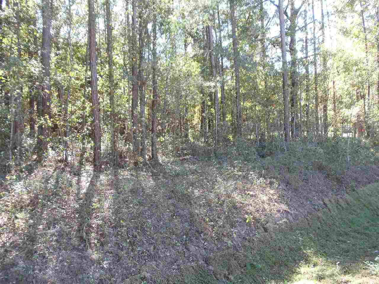 0 Collins Landing Road, Unit 2 Tallahassee, FL 32310 - Photo 9 of 11 Gallery Image 9