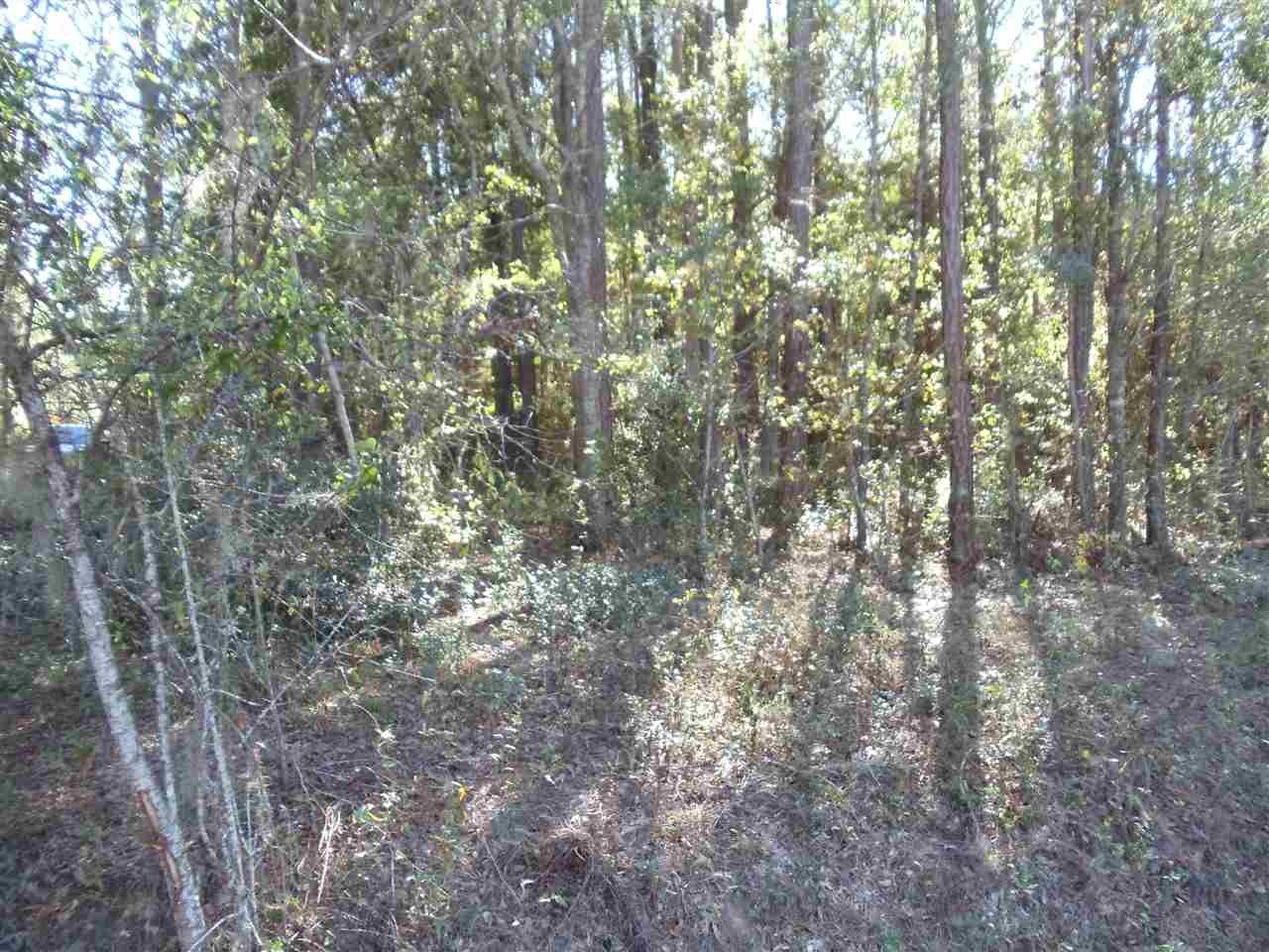 0 Collins Landing Road, Unit 2 Tallahassee, FL 32310 - Photo 10 of 11 Gallery Image 10