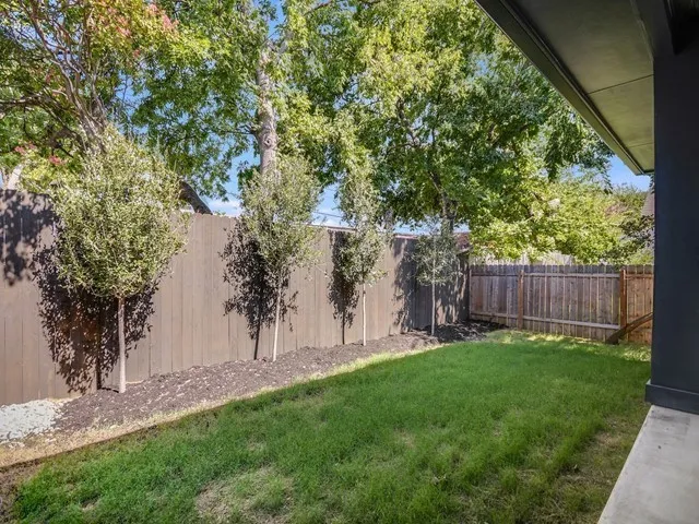 a view of a backyard with a tree