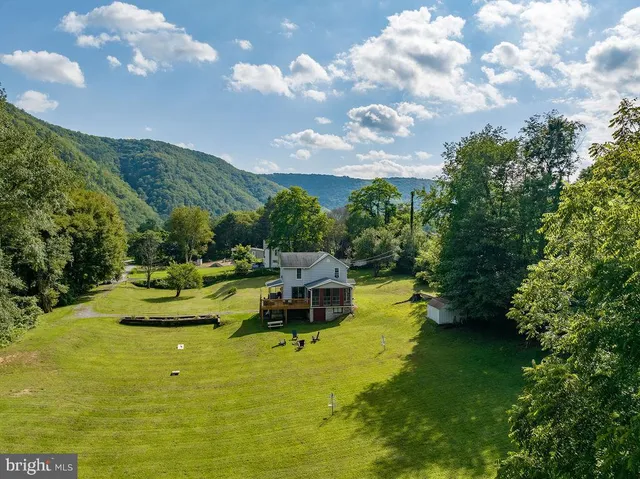 a view of a garden with a tree