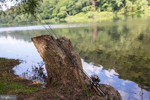 a view of a lake in between two of trees