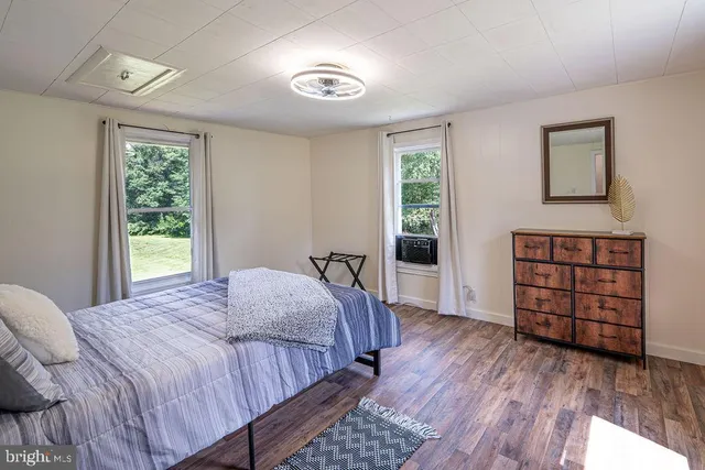 a bathroom with a sink a mirror and a potted plant