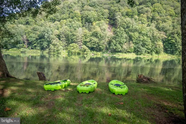 a view of a yard with a trees