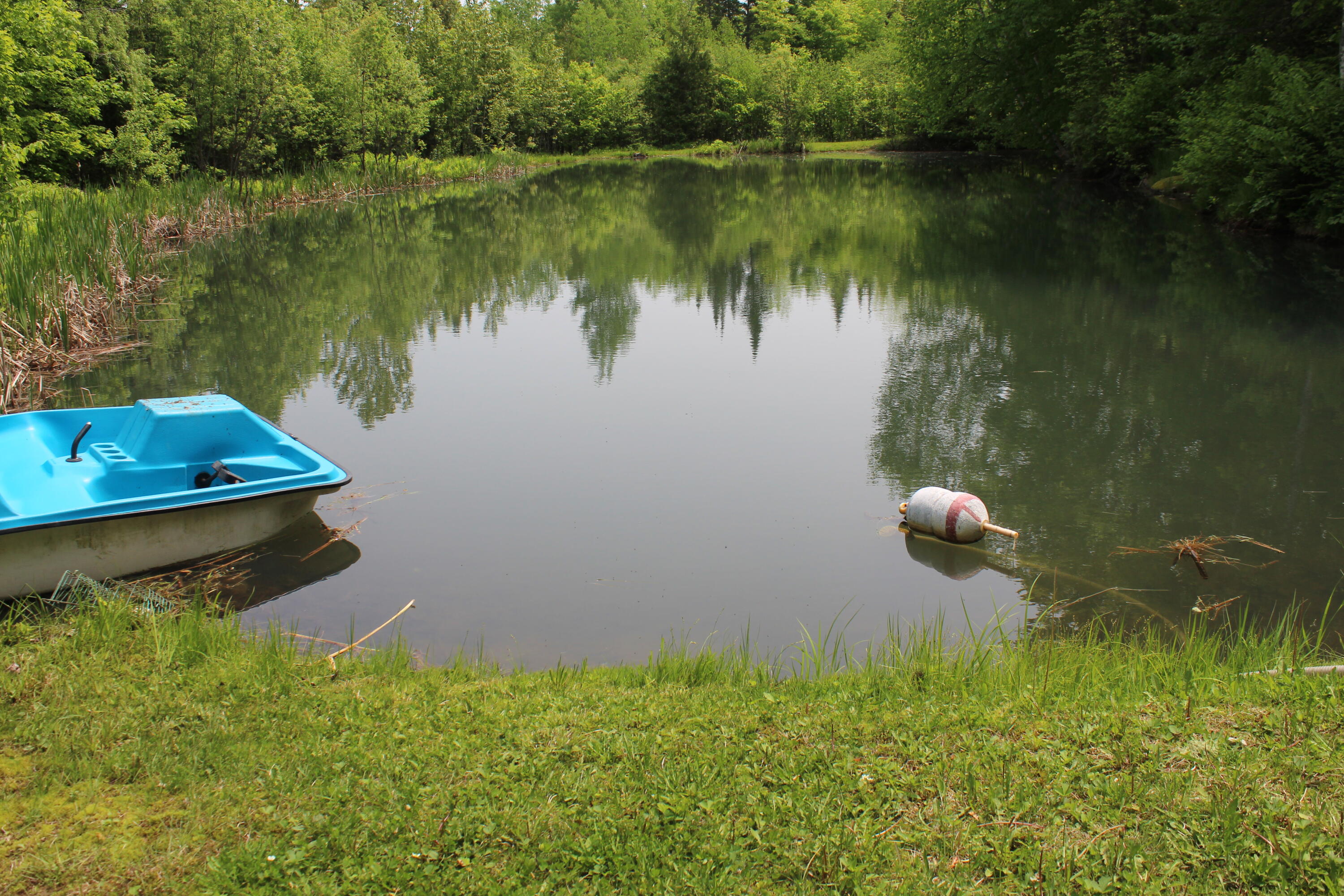 213 Clark Road Merrill, ME 04780 - Photo 17 of 42 IMG_6764