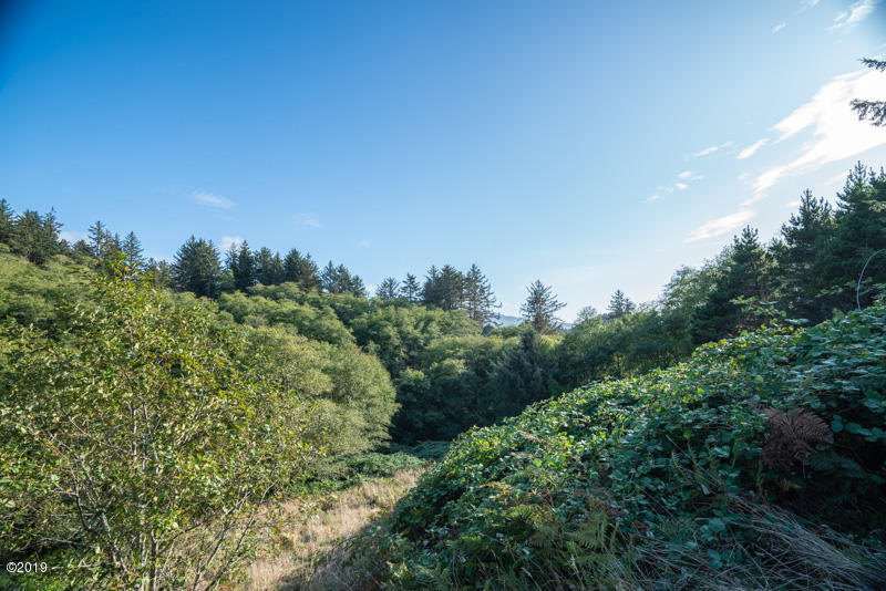 6005 Rowan Road Neskowin, OR 97149 - Photo 7 of 12 View from upper meadow