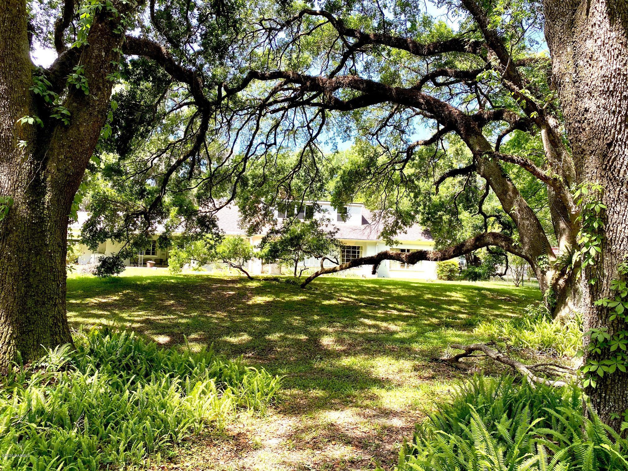 208 Charenton Road Baldwin, LA 70514 - Photo 26 of 32 Backyard