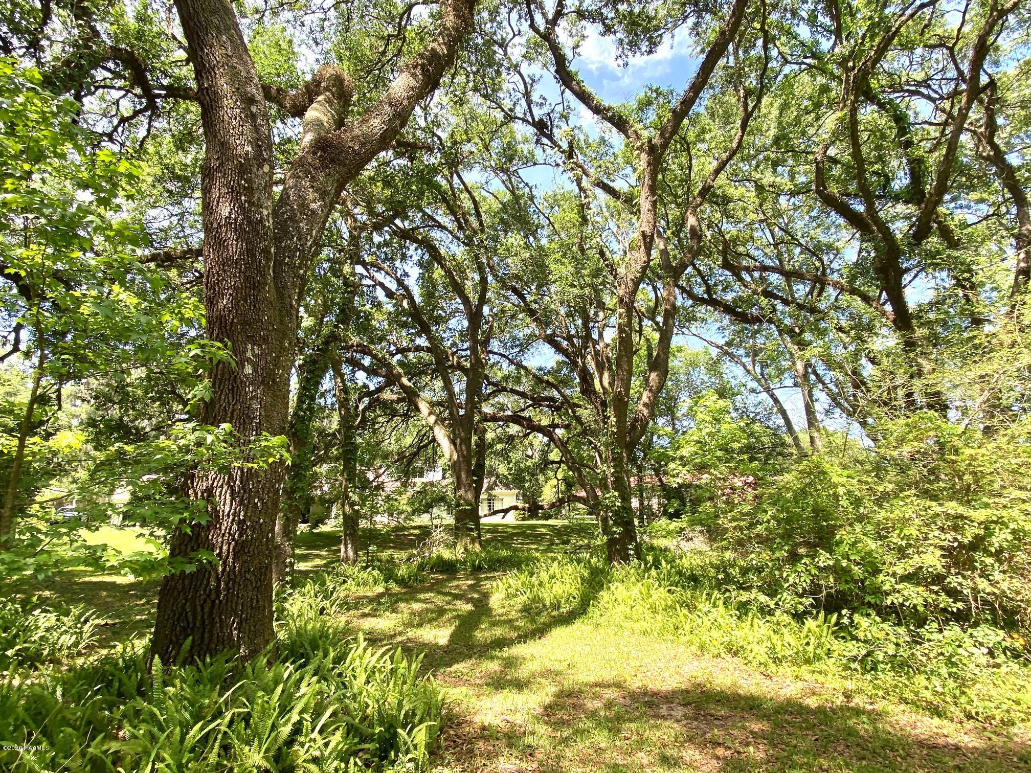 208 Charenton Road Baldwin, LA 70514 - Photo 27 of 32 Backyard view