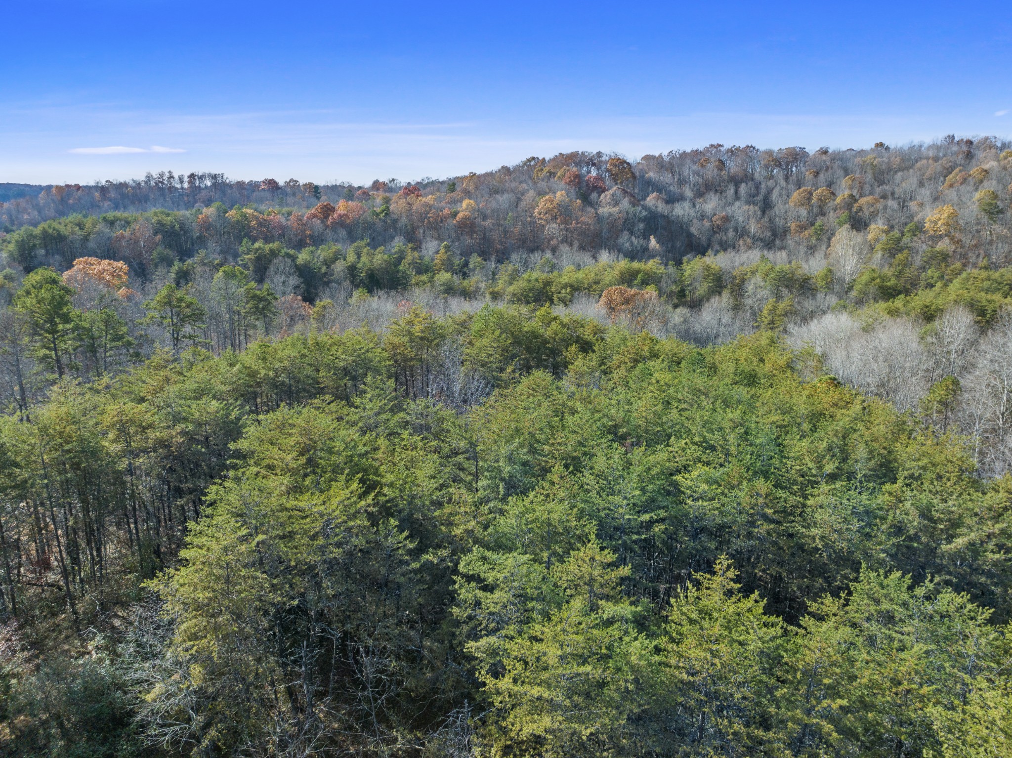 0 Slate Lick Road London, KY 40741 - Photo 13 of 35 a view of a lush green forest with trees in the background