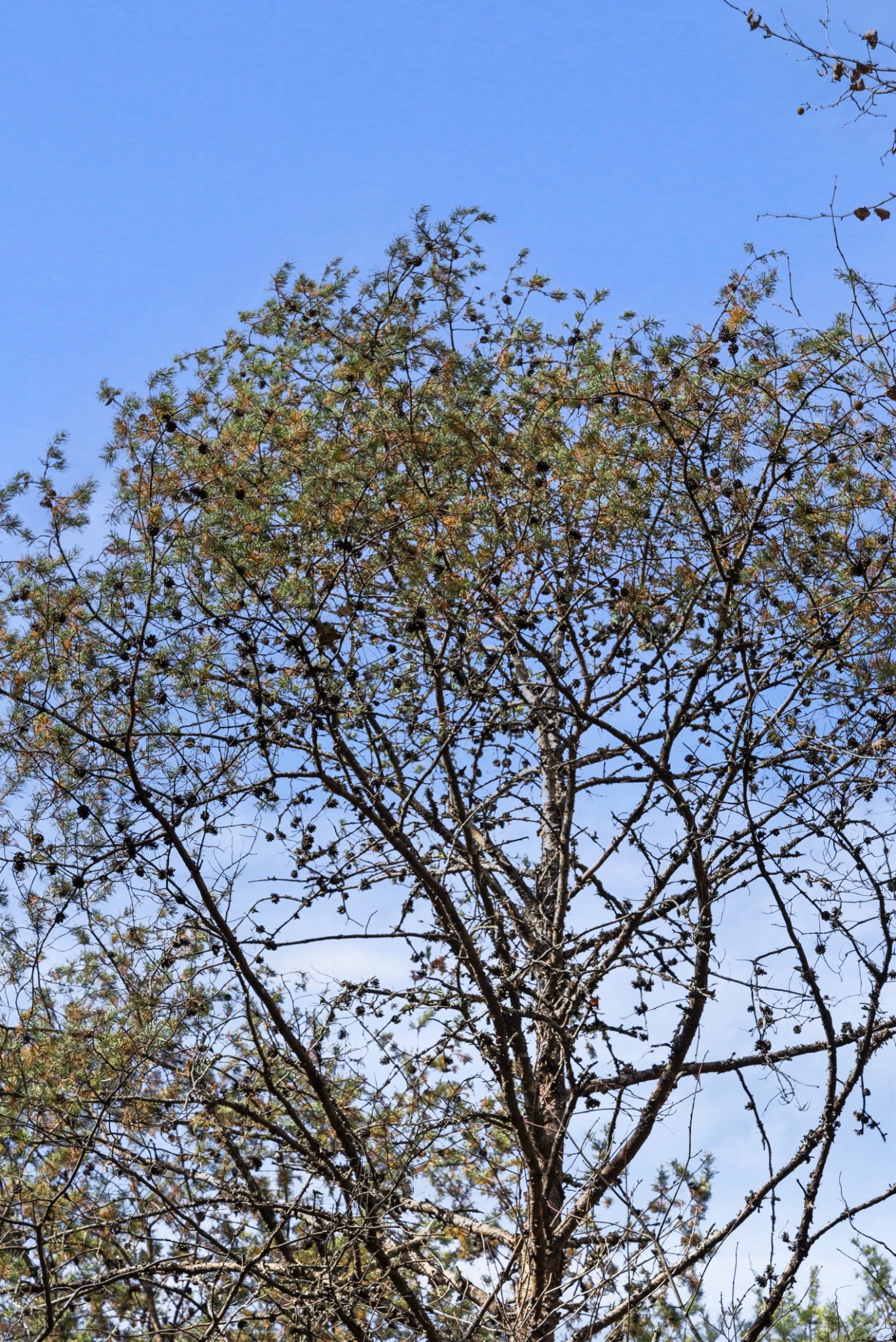0 Slate Lick Road London, KY 40741 - Photo 18 of 35 a view of a large building