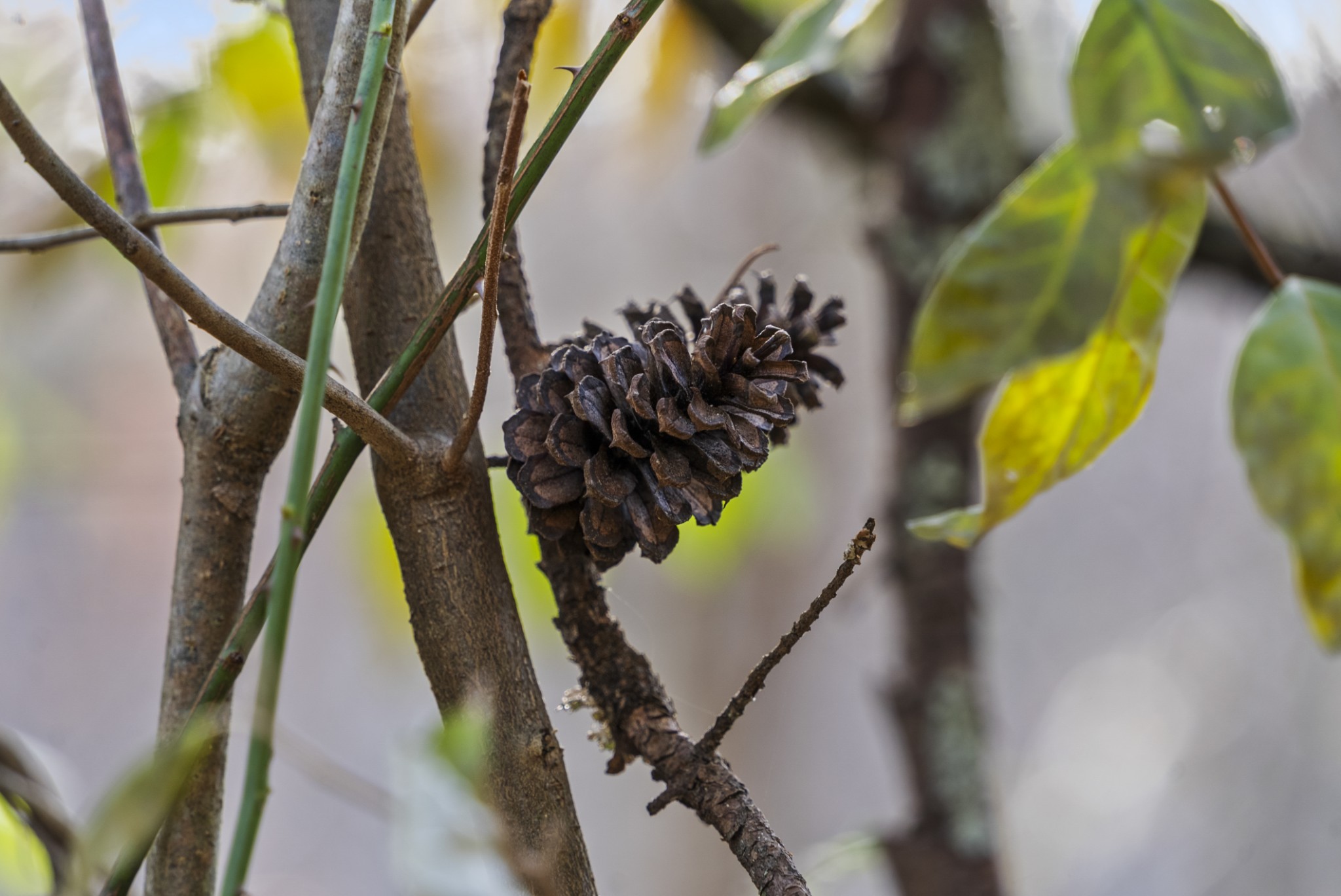 0 Slate Lick Road London, KY 40741 - Photo 19 of 35 a view of a staircase
