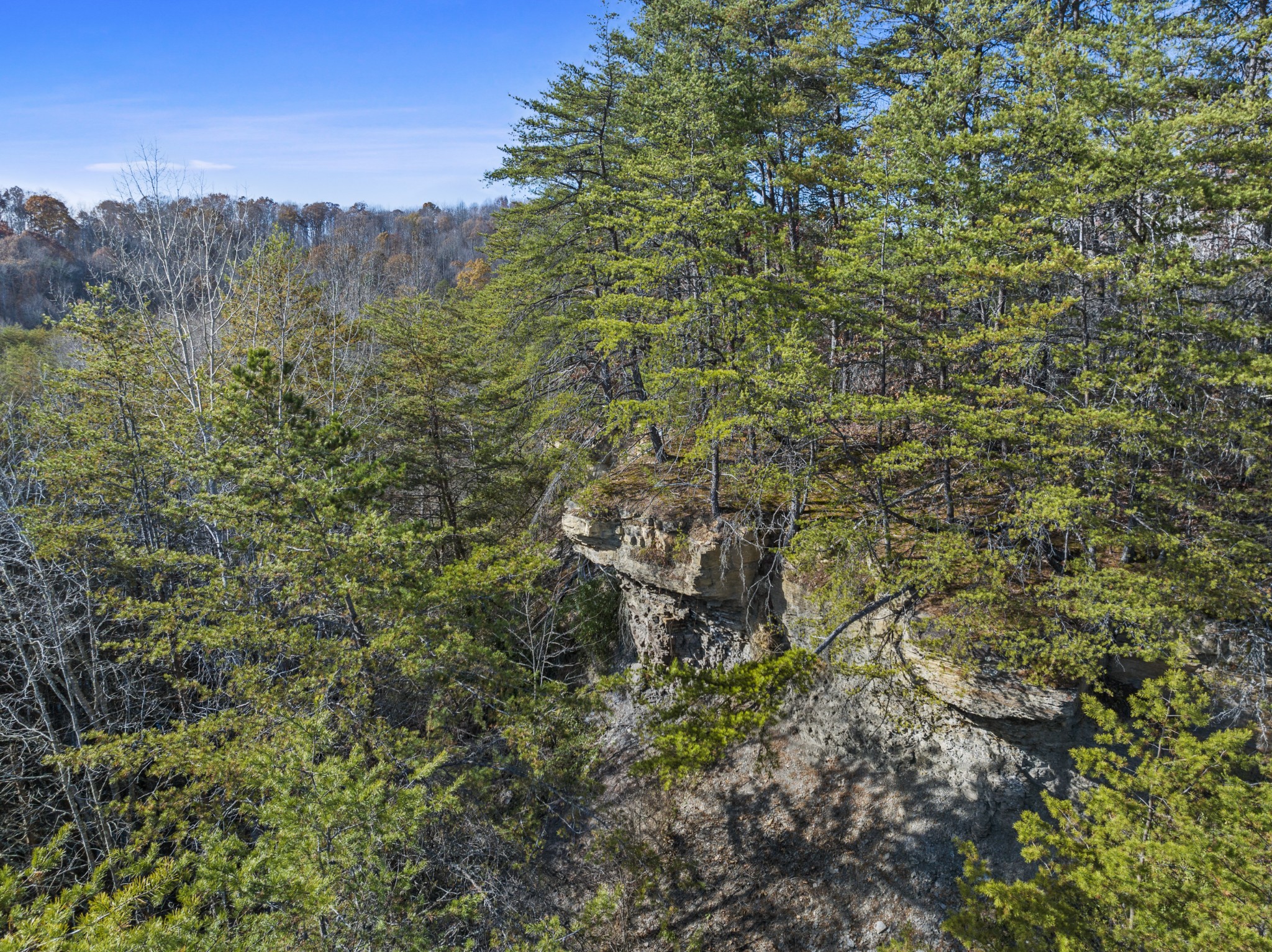 0 Slate Lick Road London, KY 40741 - Photo 2 of 35 a view of a lush green forest with large trees