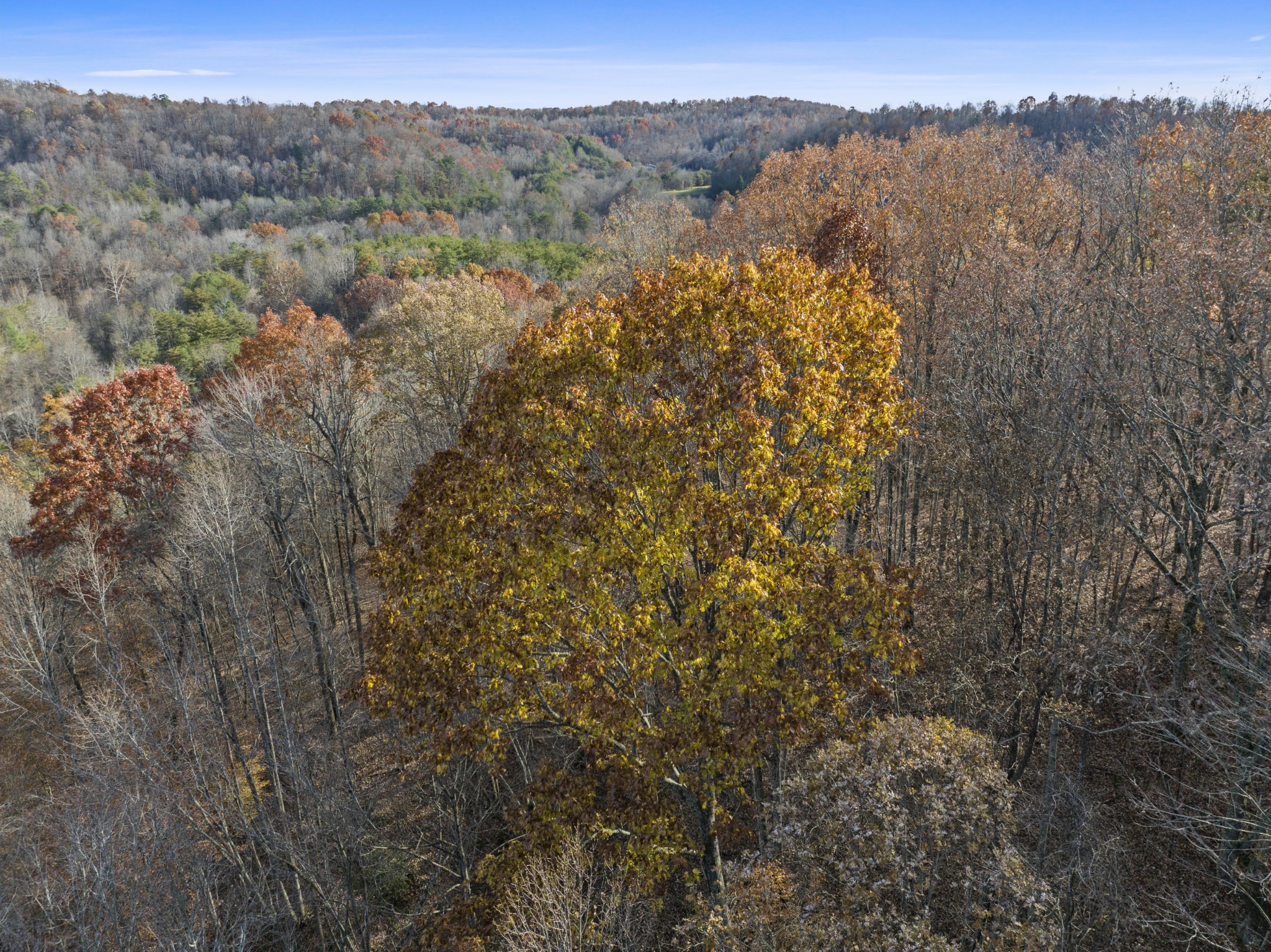 0 Slate Lick Road London, KY 40741 - Photo 22 of 35 a view of a forest with a mountain in the background